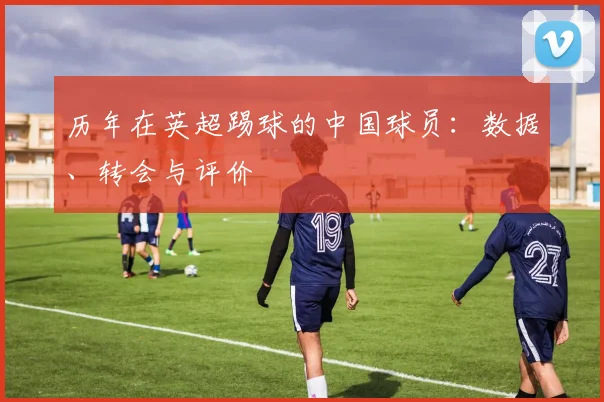 历年在英超踢球的中国球员：数据、转会与评价