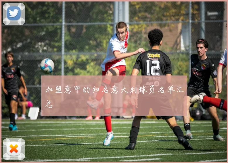 加盟意甲的知名意大利球员名单汇总