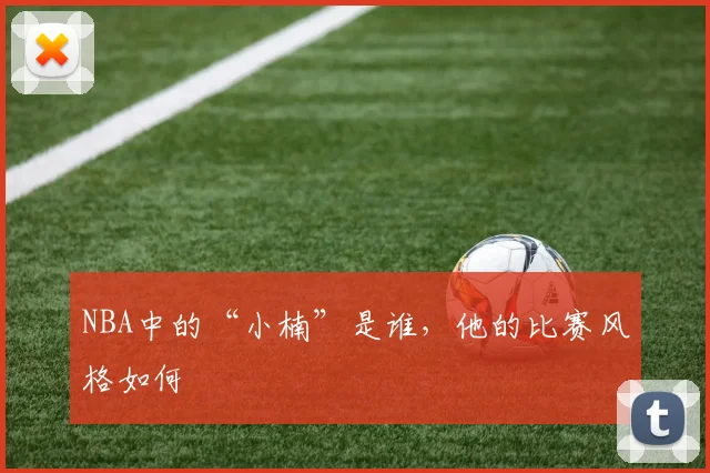 NBA中的“小楠”是谁，他的比赛风格如何