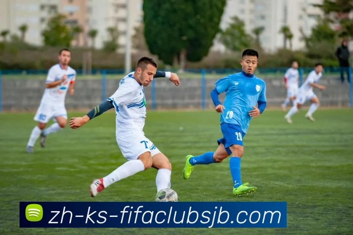 世界杯赛程服务体系